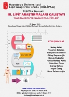 3. Lipit Araştırmaları Çalıştayı'nda buluşalım.