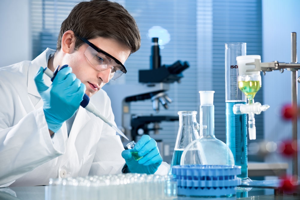 Taq Dna Polimeraz( Enzim Saflaştırma)